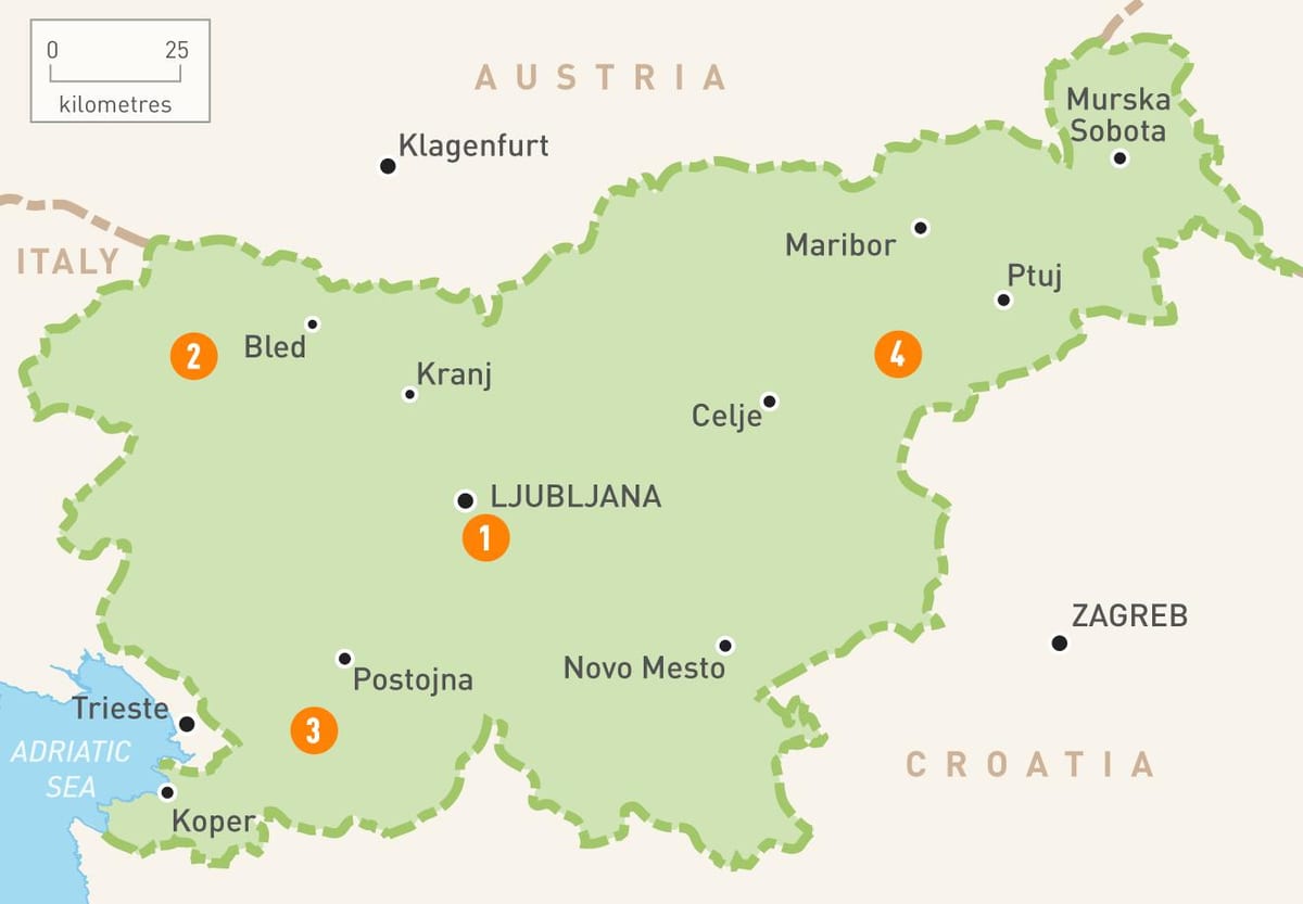 Mapa Slovinska regiónov