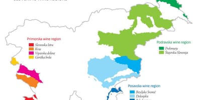 Mapa Slovinska víno